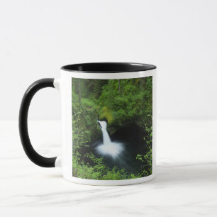 Taza Punchbowl Falls en Eagle Creek, río Columbia