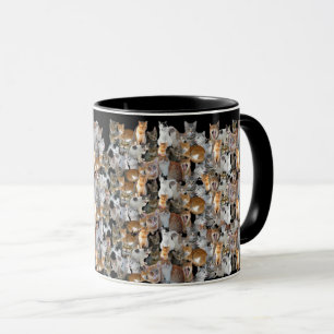 Taza Punto de encuentro de gatos - collage