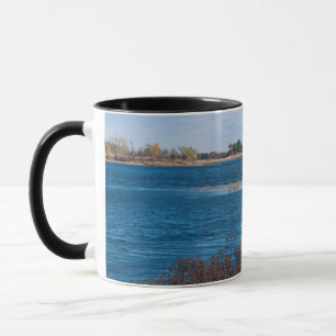 Taza punto de marisma en el refugio de Necedah