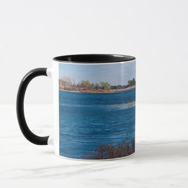 Taza punto de marisma en el refugio de Necedah (Izquierda)