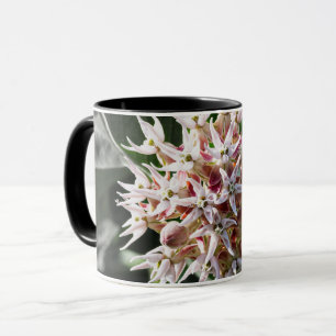 Taza Pureza radiante: foto de flor lechera en blanco