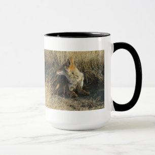 Taza R16 Coyote Acostado