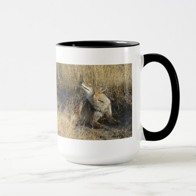 Taza R17 Coyote Rascando (Derecha)