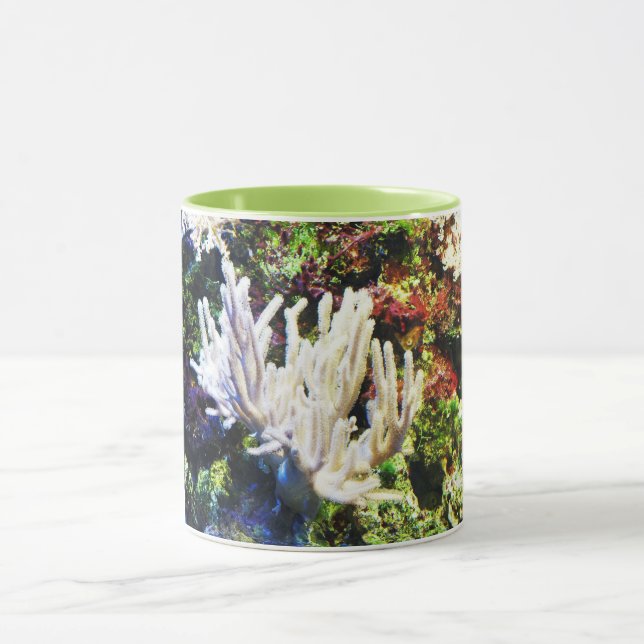 Taza Ramificación de coral blanco (Centro)