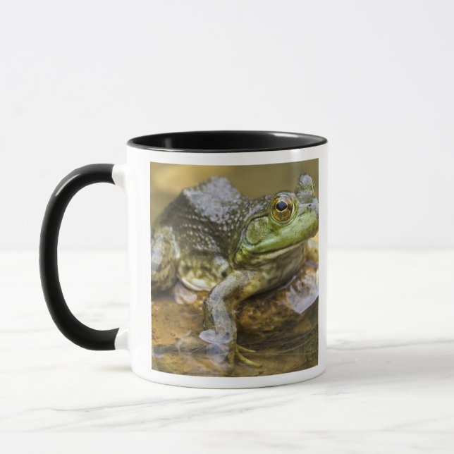 Taza Rana a lo largo del río Búfalo, Milla 126 en la (Izquierda)