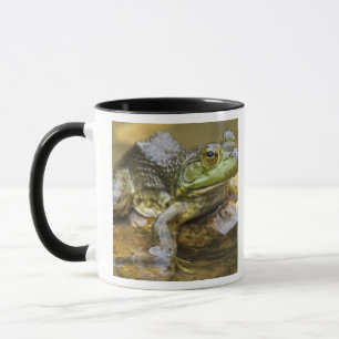 Taza Rana a lo largo del río Buffalo, milla 126 en el