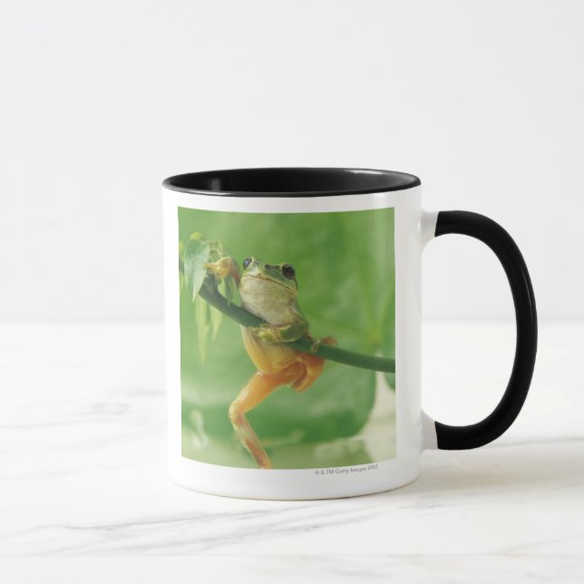 Taza Rana arbórea (Derecha)