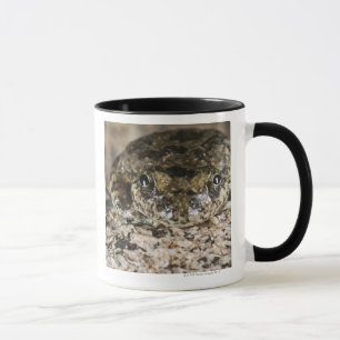 Taza Rana arbórea de California, (cadaverina del