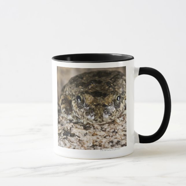 Taza Rana arbórea de California, (cadaverina del (Derecha)