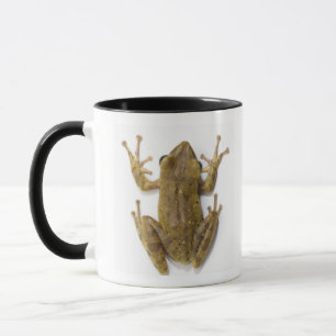 Taza Rana arbórea del oro