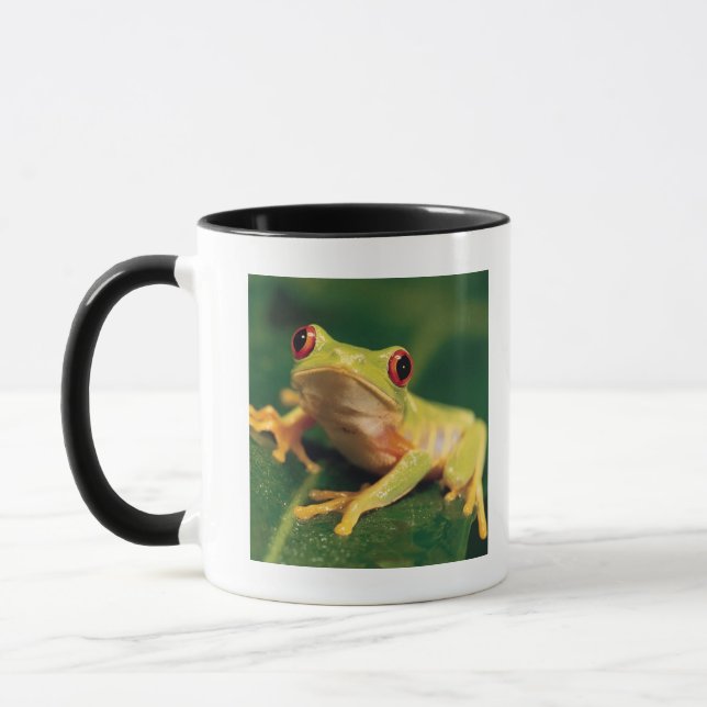Taza Rana arbórea roja del ojo (Izquierda)