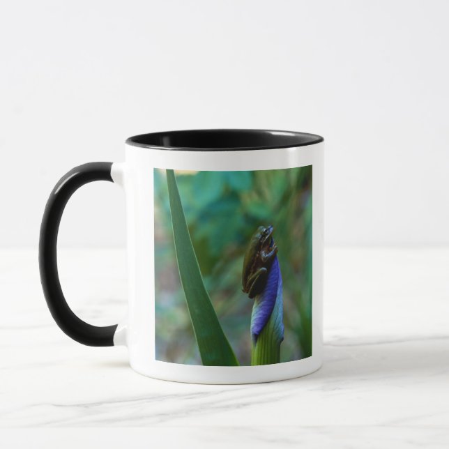 Taza Rana arbórea verde en el iris (Izquierda)