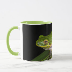 Taza Rana arborícola verde (Hyla cinerea) 2