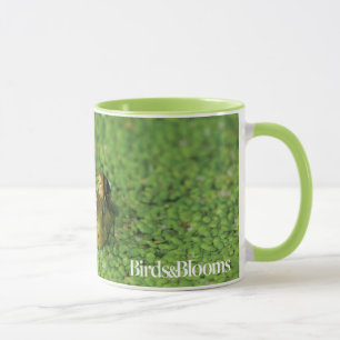 Taza Rana en algas verdes