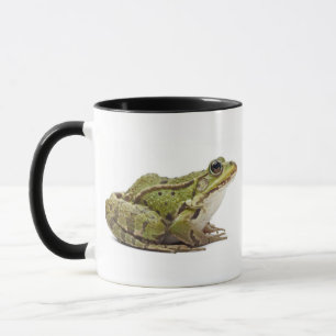 Taza Rana europea común o rana comestible