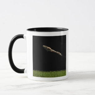 Taza rana que salta de hierba verde fresca