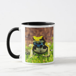 Taza Rana venenosa, Dendrobates tinctorius,