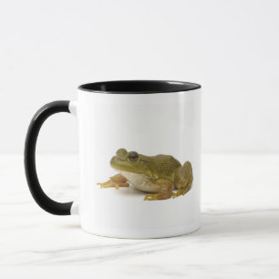 Taza Rana verde común