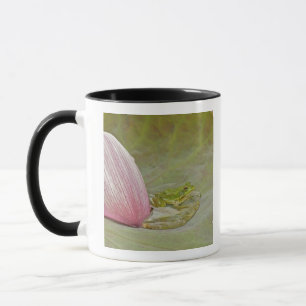 Taza Rana y pétalo de flor de loto, China,