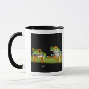 Taza ranas arbóreas Rojo-observadas (callidryas de