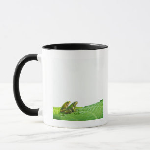 Taza Ranas verdes en la licencia