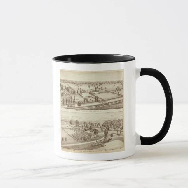 Taza Ranches, Visalia, Cal (Derecha)