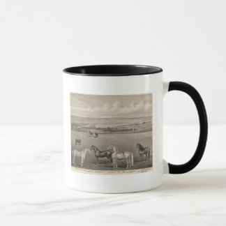 Taza Rancho Mill Brae, Kansas