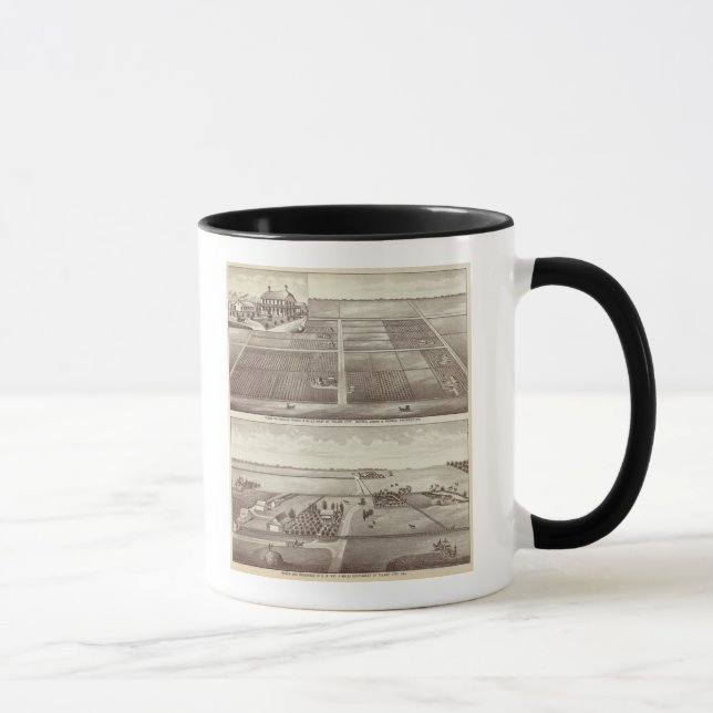 Taza Ranuras de Chicago y Kay (Derecha)
