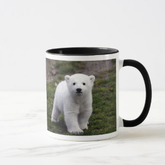 TAZA RASGÓN KNUT