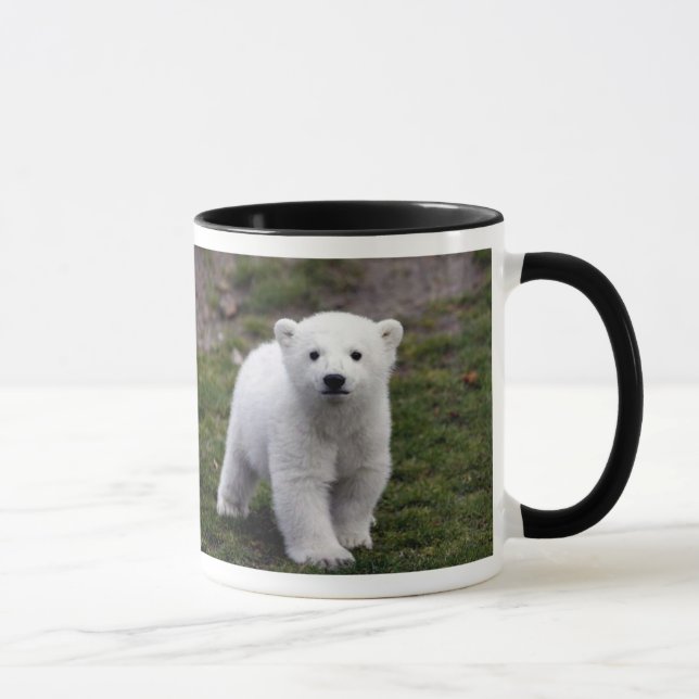 TAZA RASGÓN KNUT (Derecha)