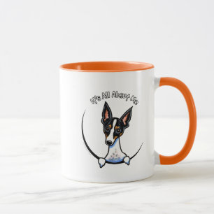 Taza Rata Terrier tricolora IAAM