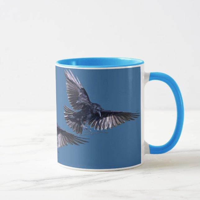 Taza Raven en la vida salvaje (Derecha)