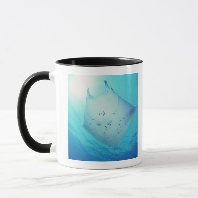 Taza Rayo (Izquierda)