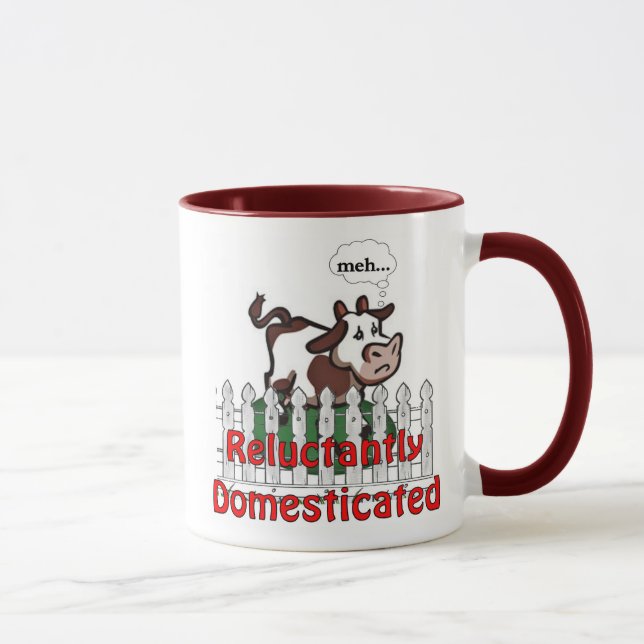 Taza reacio domesticada (Derecha)