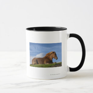 Taza Reclinación islandesa y cielo del caballo