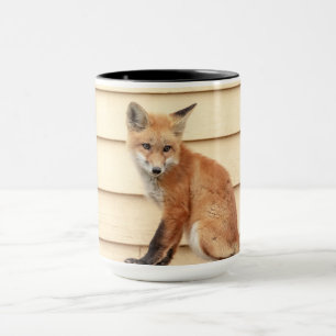 Taza Red Fox Kit en el Valle de Hudson