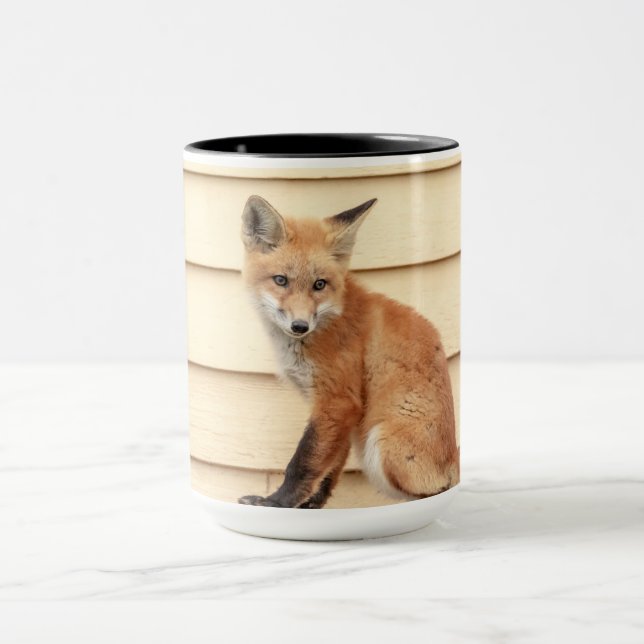 Taza Red Fox Kit en el Valle de Hudson (Centro)
