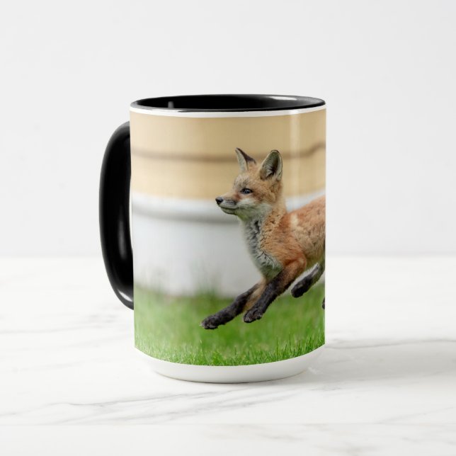 Taza Red Fox Kit en el Valle de Hudson (Anverso izquierdo)