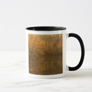 Taza Reflejos de otoño en el estanque.