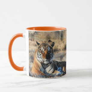 Taza Regal