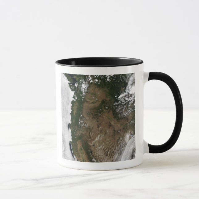 Taza Región noroccidental del Pacífico de los Estados U (Derecha)
