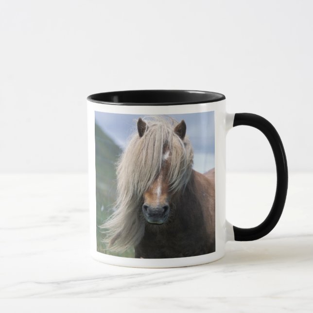 Taza Reino Unido, Escocia, Islas Shetland, pony Shetlan (Derecha)
