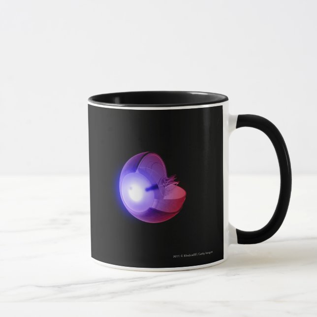 Taza Representación de la estructura del ojo (Derecha)