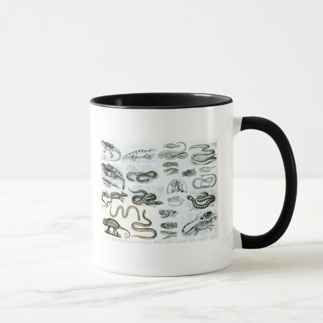 Taza Reptiles, serpientes y lagartos (Derecha)