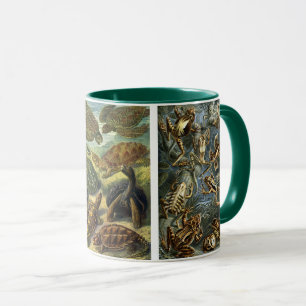 Taza Reptiles y Anfibios Antiguos por Ernst Haeckel