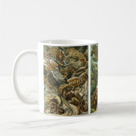 Taza Reptiles y Anfibios Antiguos por Ernst Haeckel