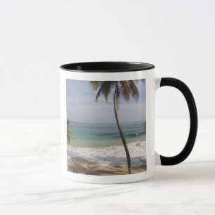 Taza República Dominicana, Costa Norte, Abreu, Playa 4