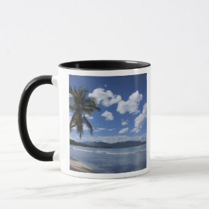 Taza República Dominicana, Península de Samana, Las 4