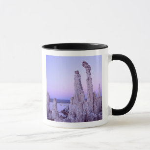 Taza Reserva del lago Mono. California. EE. UU. Tufa