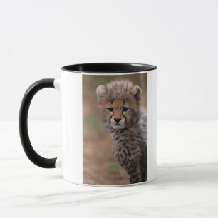Taza Reserva nacional de Mara del Masai